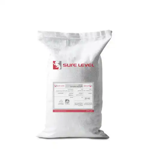 خرید ملات ترميم بتن 75 Sure Set Rapid