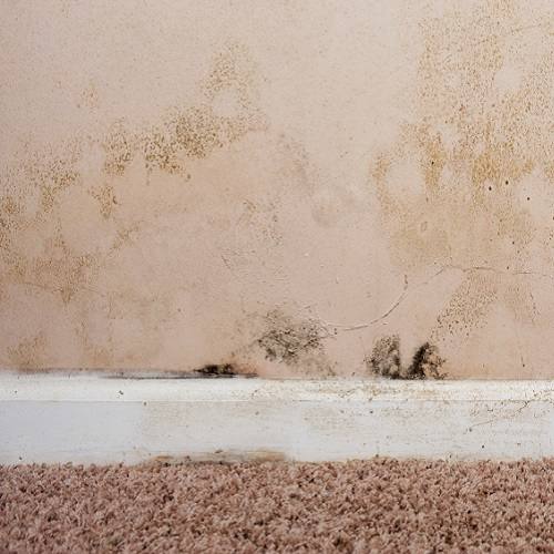 نم دیوار، علت ها و راهکارها