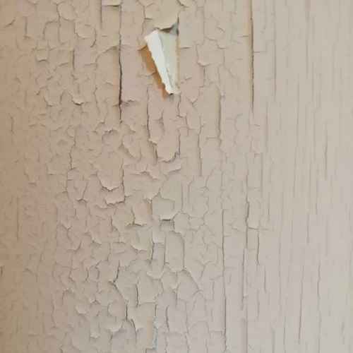 پوسته شدن رنگ-تراشیلد دکومال نوین