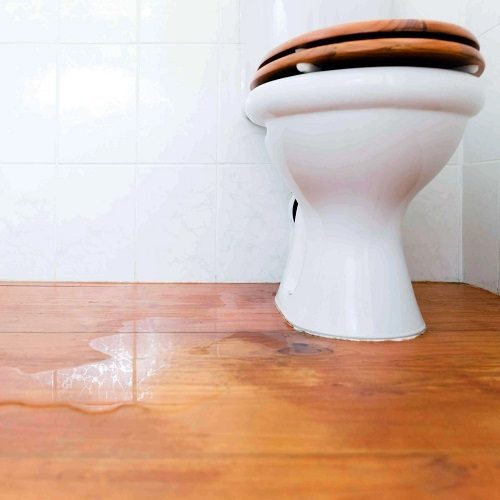 نشت آب سرویس بهداشتی-پودر بندکشی شورفیکس